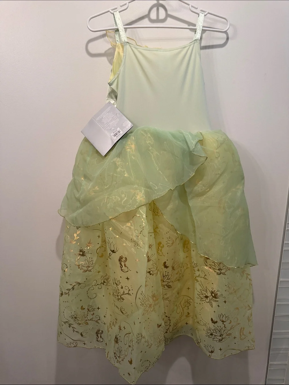 The Princess and the Frog questions leave